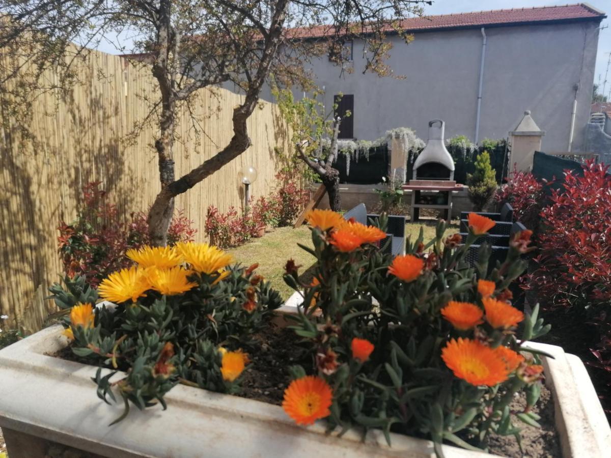 Holiday home Alexis House Piombino